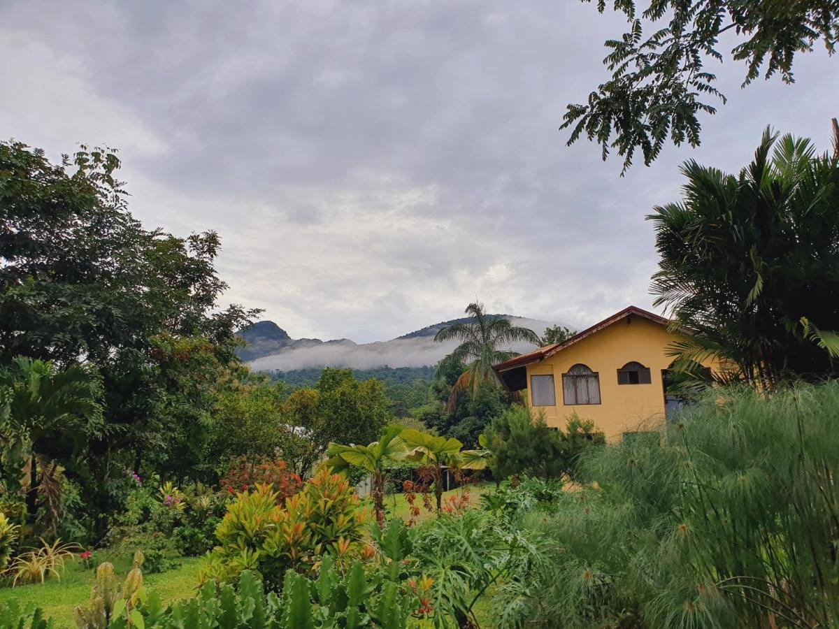 Yellow Tree Suites La Fortuna Exterior photo