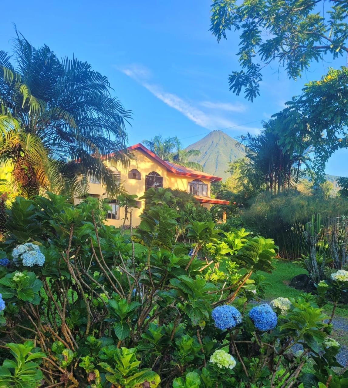Yellow Tree Suites La Fortuna Exterior photo
